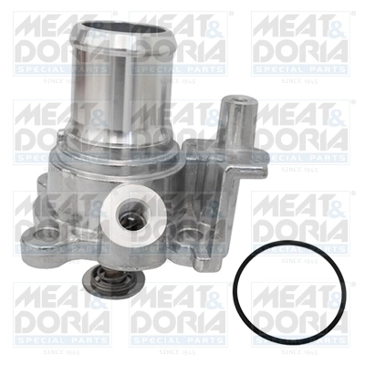 Thermostat, coolant